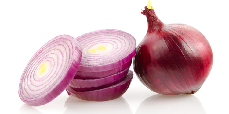 Red Onion and Slices Isolated on White Background